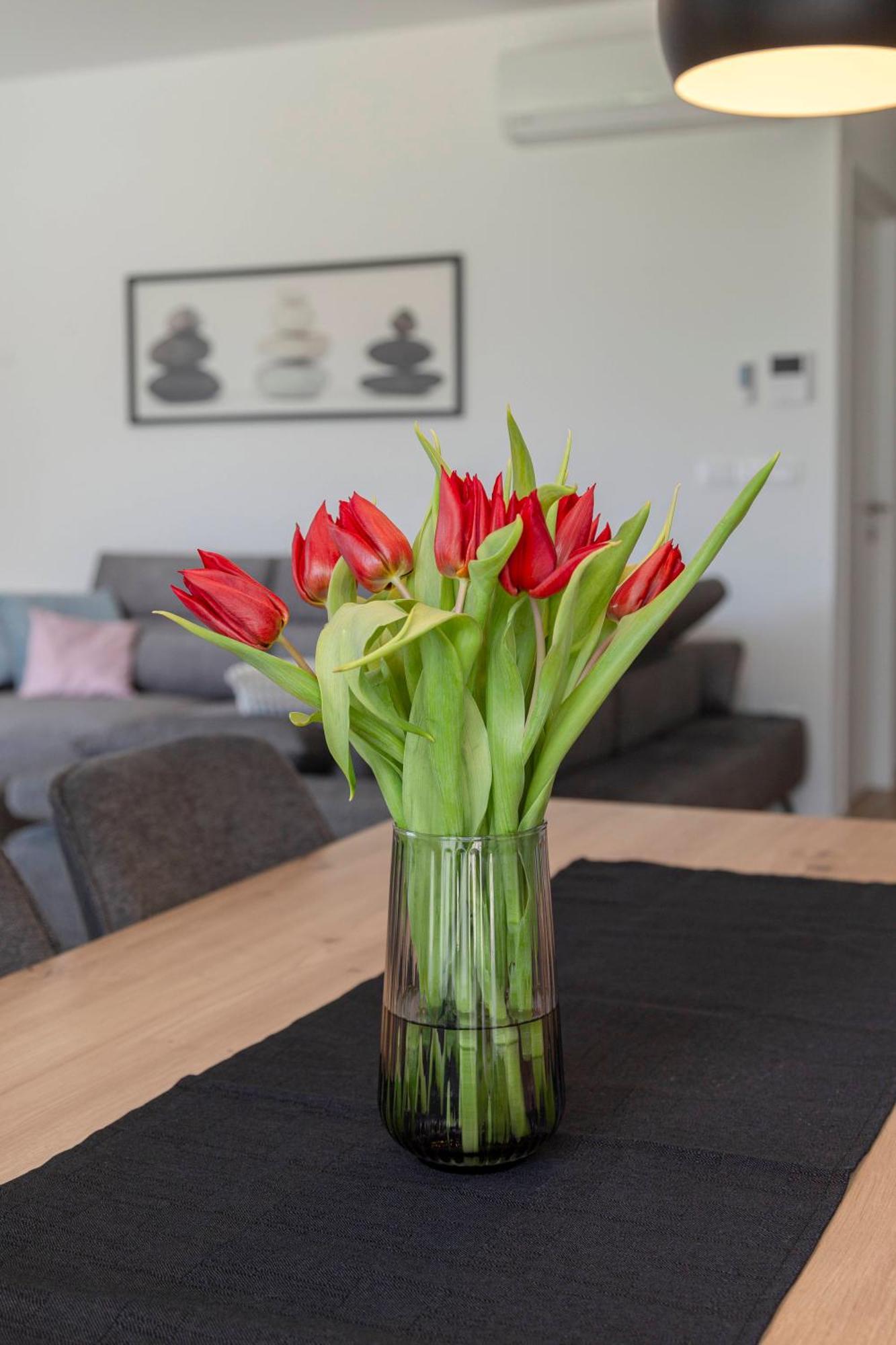 Bela Apartment